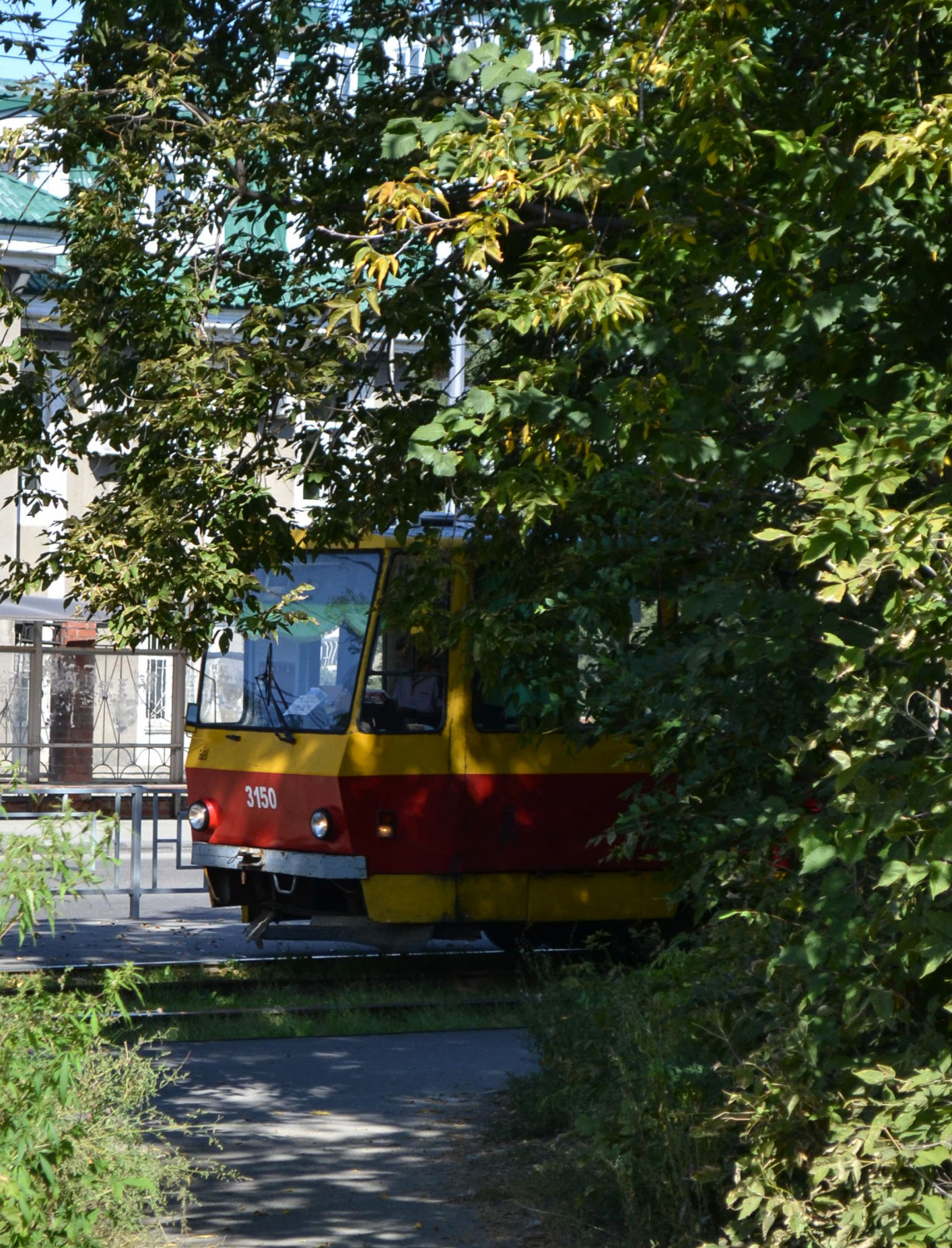 Фото