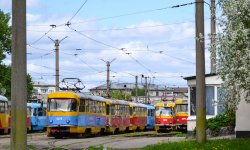 Фото